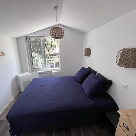 Villa Entre Et Pins A 50 M Privatif Familiale 8 Personnes